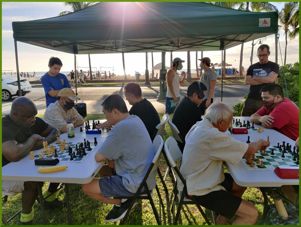 Honolulu Zoo chess action.