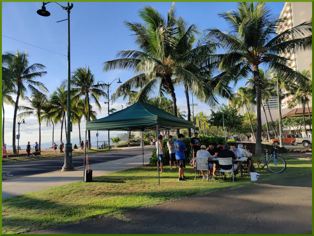 November 20th, 2021. Honolulu Zoo chess meetup.