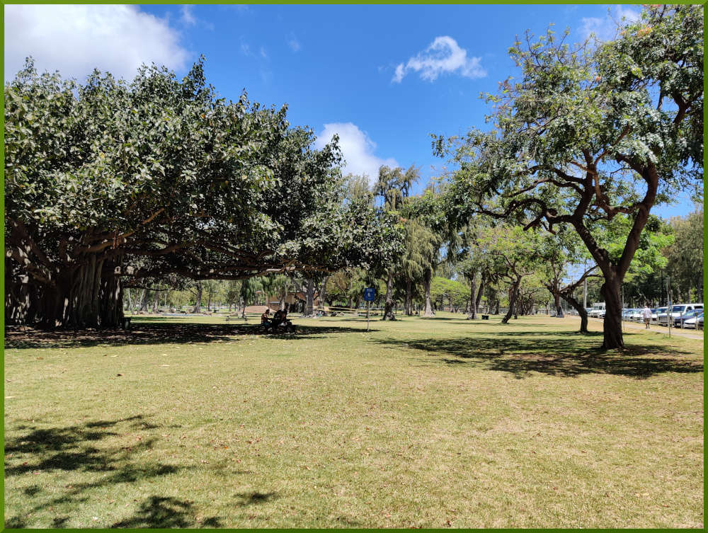 June 5th, 2021. Kapiolani Park. Chess under the big banyan tree.