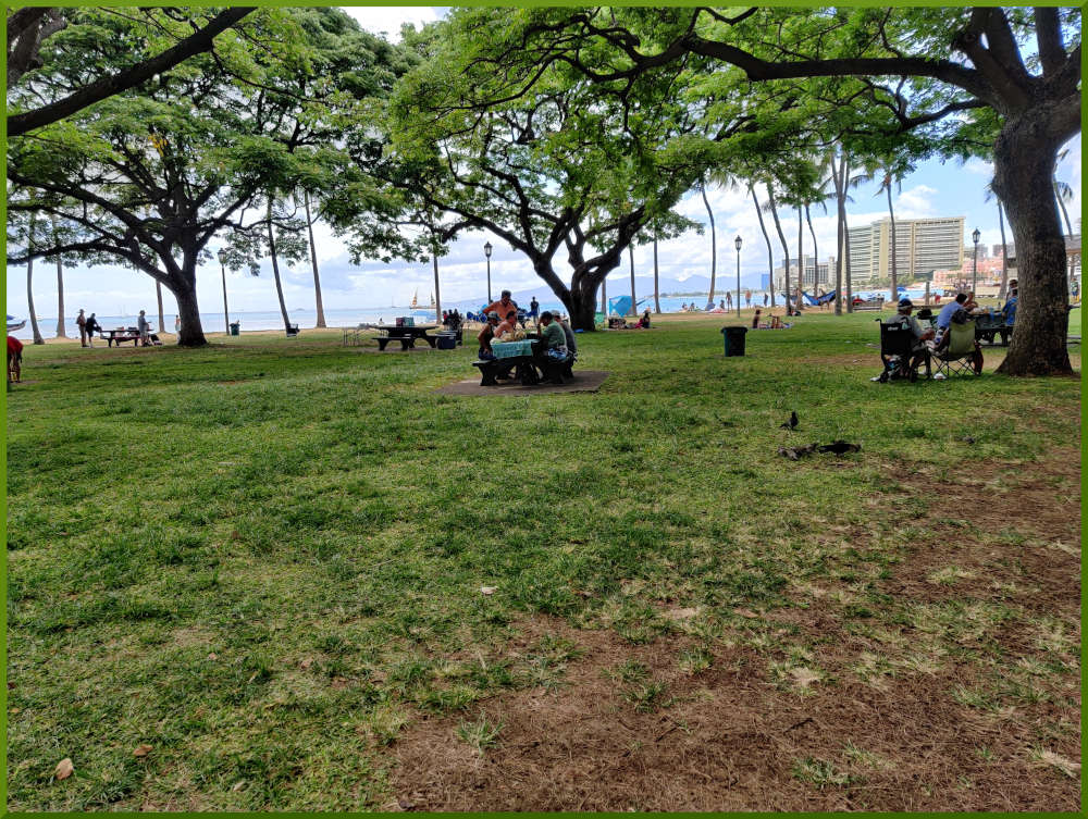 July 10th, 2021. Kapiolani park chess meetup.