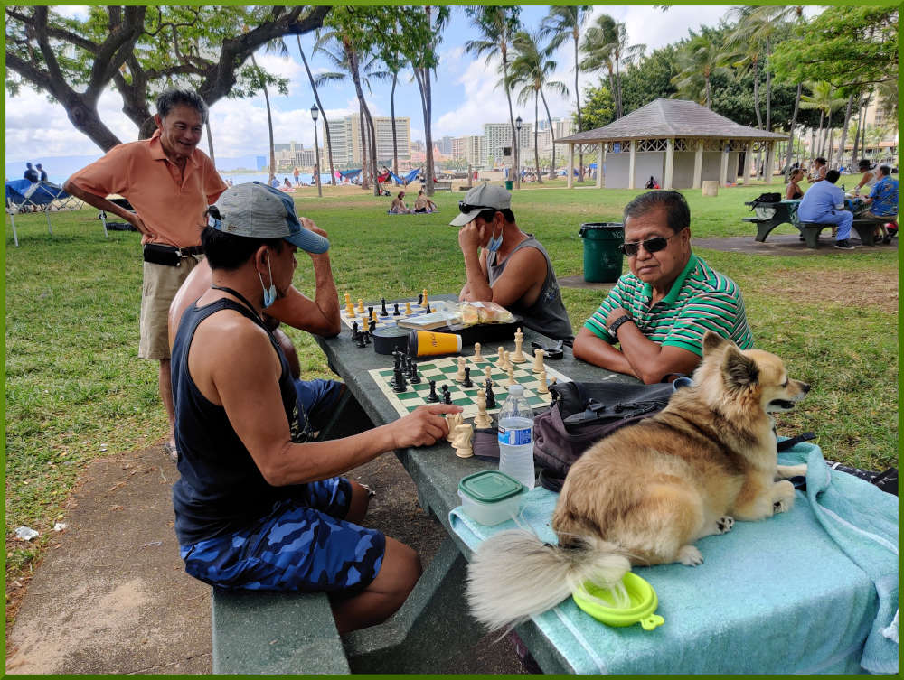 July 10th, 2021. Kapiolani park chess meetup.